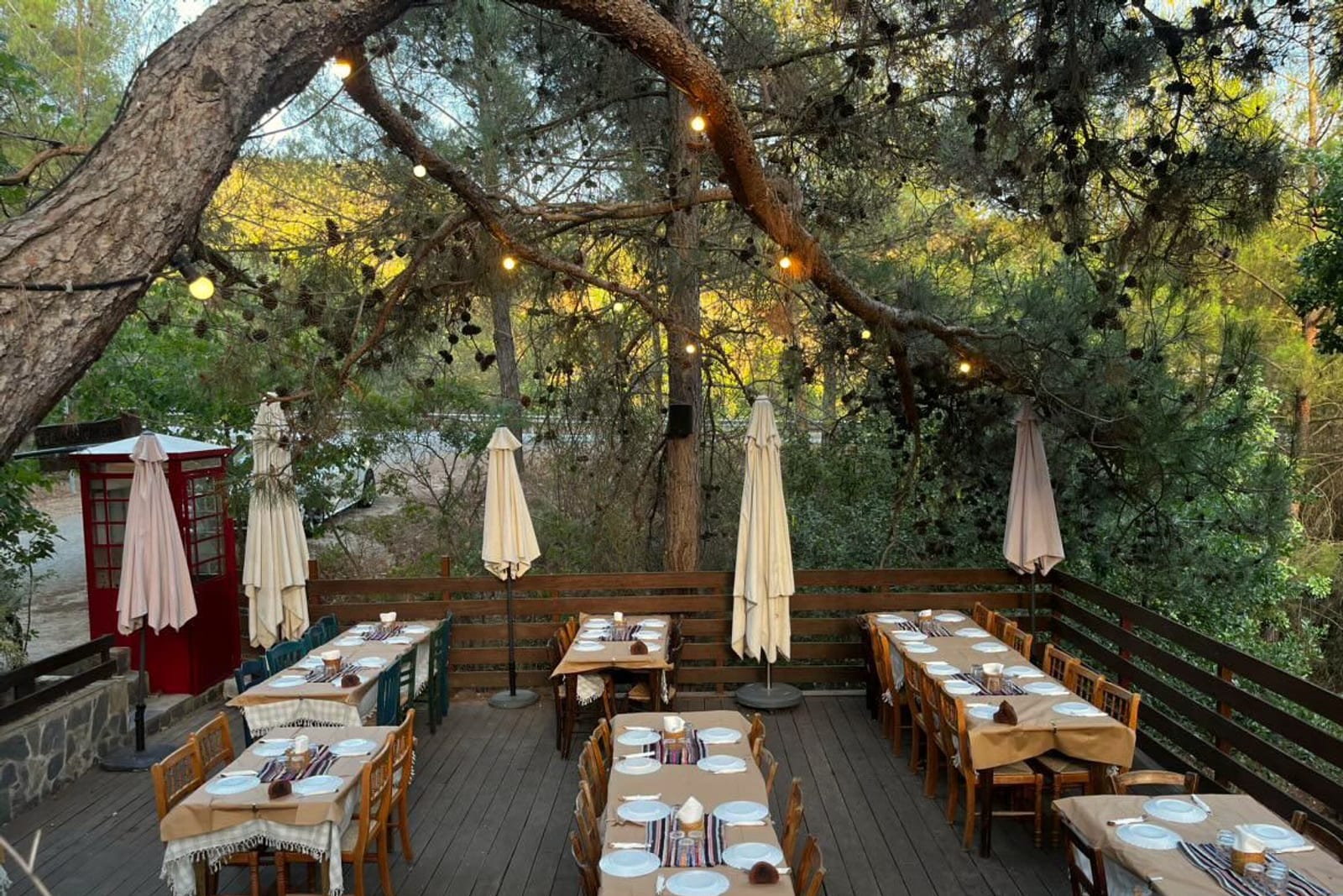 Set tables on the deck at dusk, fairy-lights strung between the pines