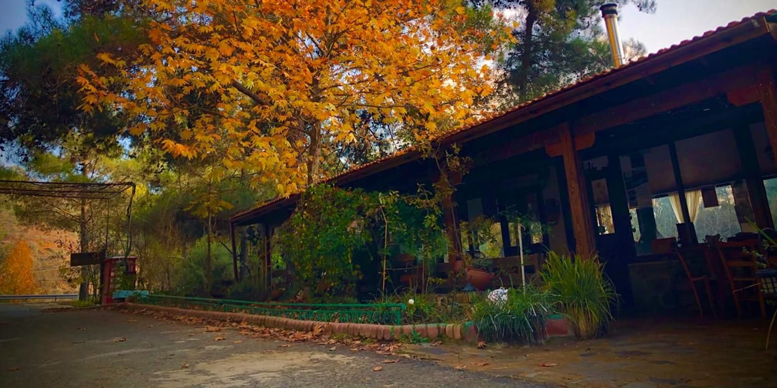 A full house under the pines. The reason we're still here.